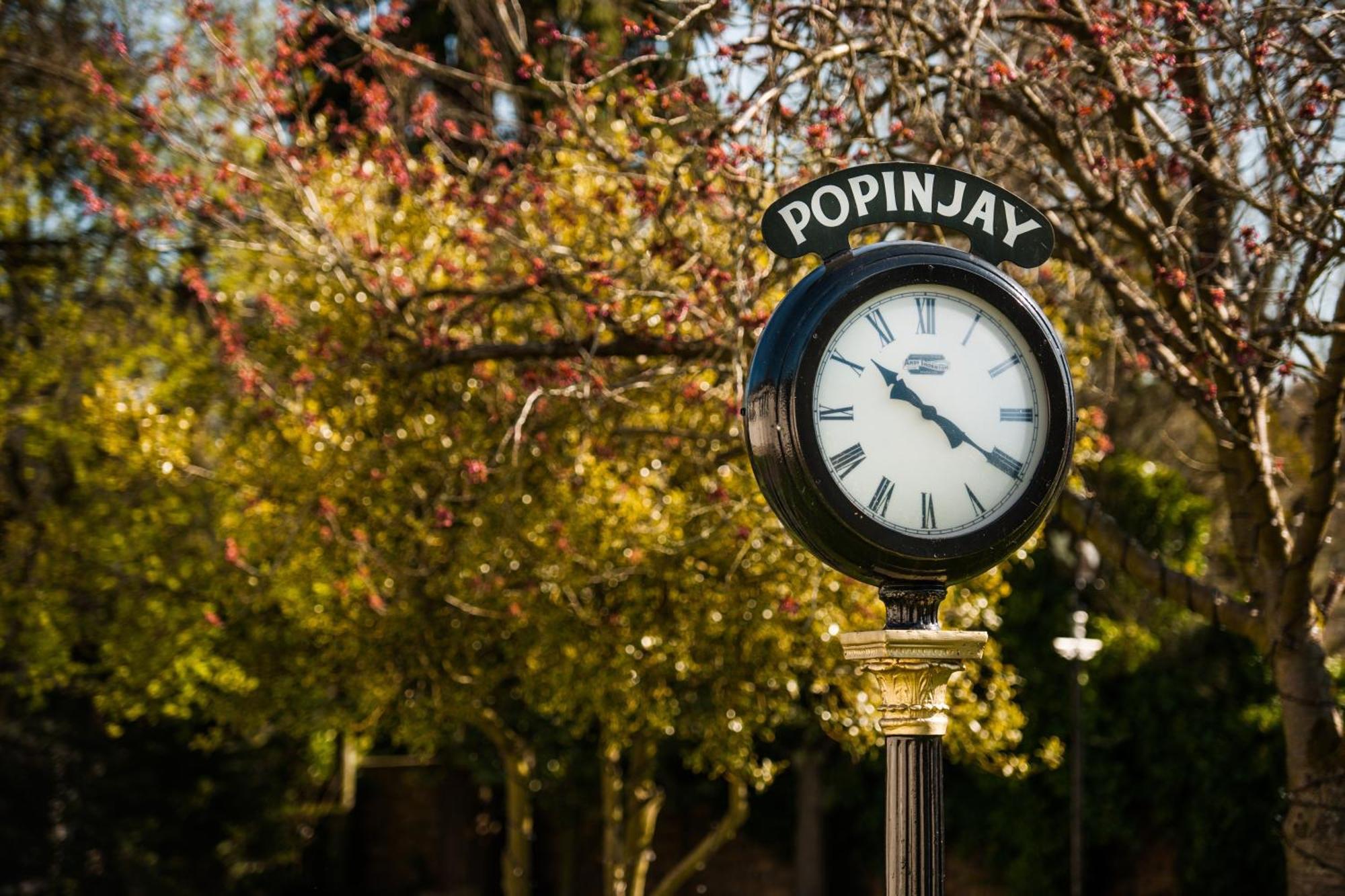 The Popinjay